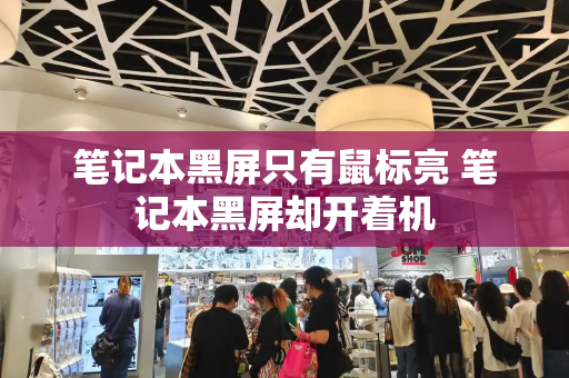 笔记本黑屏只有鼠标亮 笔记本黑屏却开着机