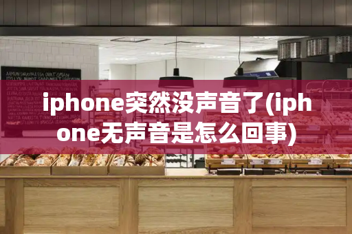 iphone突然没声音了(iphone无声音是怎么回事)-第1张图片-星选测评