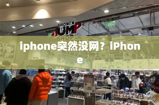 iphone突然没网？iPhone-第1张图片-星选测评