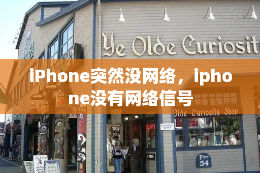 iPhone突然没网络，iphone没有网络信号-第1张图片-星选测评
