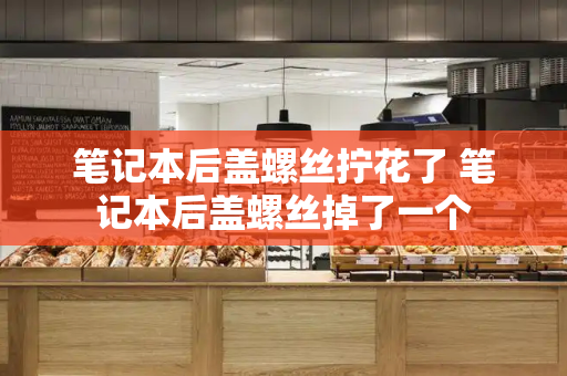 笔记本后盖螺丝拧花了 笔记本后盖螺丝掉了一个-第1张图片-星选测评
