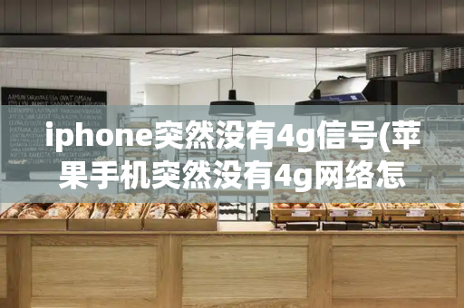 iphone突然没有4g信号(苹果手机突然没有4g网络怎么回事)-第1张图片-星选测评