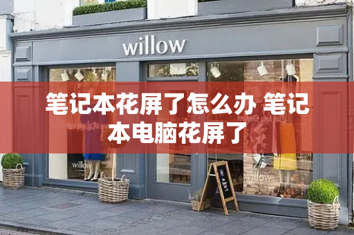 笔记本花屏了怎么办 笔记本电脑花屏了