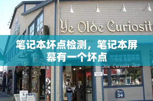 笔记本坏点检测，笔记本屏幕有一个坏点-第1张图片-星选测评