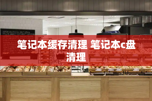 笔记本缓存清理 笔记本c盘清理