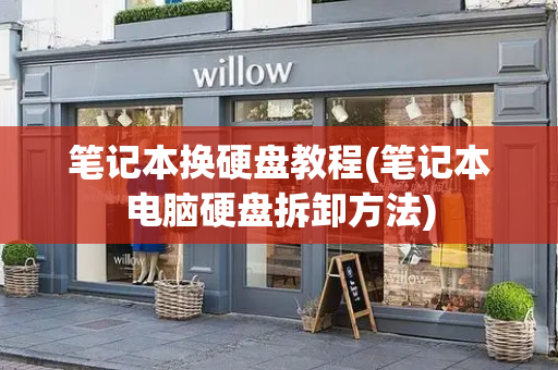 笔记本换硬盘教程(笔记本电脑硬盘拆卸方法)-第1张图片-星选测评