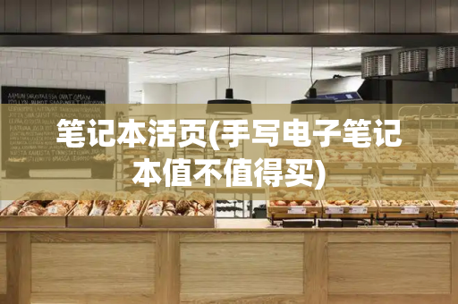笔记本活页(手写电子笔记本值不值得买)