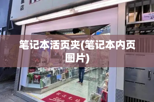 笔记本活页夹(笔记本内页图片)-第1张图片-星选测评