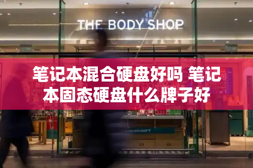 笔记本混合硬盘好吗 笔记本固态硬盘什么牌子好-第1张图片-星选测评