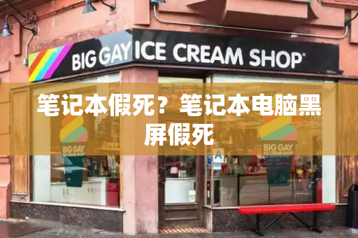 笔记本假死？笔记本电脑黑屏假死