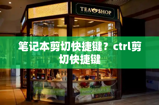 笔记本剪切快捷键？ctrl剪切快捷键
