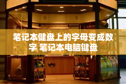 笔记本健盘上的字母变成数字 笔记本电脑键盘