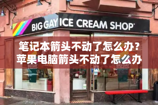 笔记本箭头不动了怎么办？苹果电脑箭头不动了怎么办