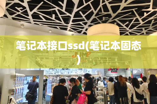 笔记本接口ssd(笔记本固态)-第1张图片-星选测评