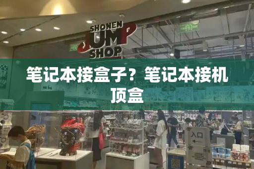 笔记本接盒子？笔记本接机顶盒-第1张图片-星选测评