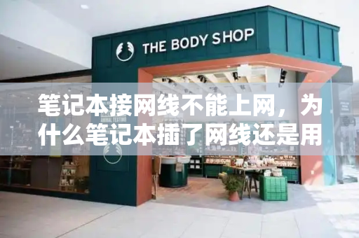 笔记本接网线不能上网，为什么笔记本插了网线还是用不了