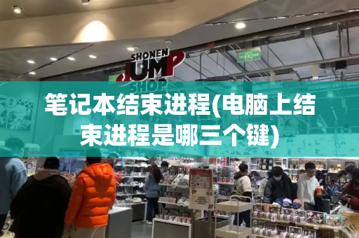 笔记本结束进程(电脑上结束进程是哪三个键)