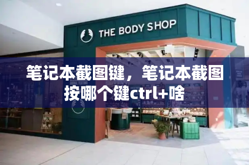 笔记本截图键，笔记本截图按哪个键ctrl+啥-第1张图片-星选测评