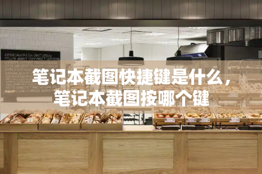 笔记本截图快捷键是什么，笔记本截图按哪个键-第1张图片-星选测评
