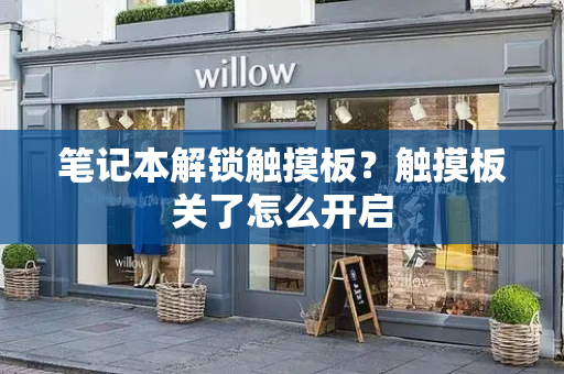 笔记本解锁触摸板？触摸板关了怎么开启-第1张图片-星选测评