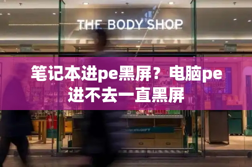 笔记本进pe黑屏？电脑pe进不去一直黑屏-第1张图片-星选测评