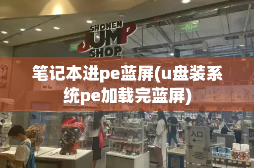 笔记本进pe蓝屏(u盘装系统pe加载完蓝屏)-第1张图片-星选测评