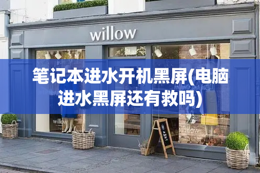 笔记本进水开机黑屏(电脑进水黑屏还有救吗)