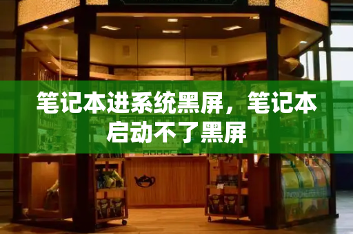 笔记本进系统黑屏，笔记本启动不了黑屏