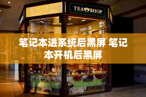 笔记本进系统后黑屏 笔记本开机后黑屏