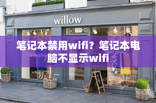 笔记本禁用wifi？笔记本电脑不显示wifi