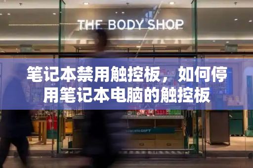 笔记本禁用触控板，如何停用笔记本电脑的触控板-第1张图片-星选测评