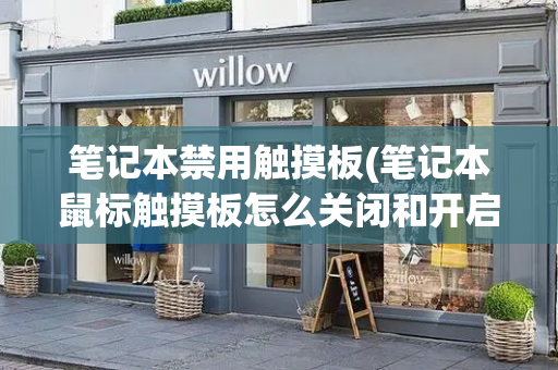 笔记本禁用触摸板(笔记本鼠标触摸板怎么关闭和开启)