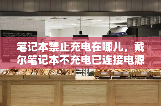 笔记本禁止充电在哪儿，戴尔笔记本不充电已连接电源-第1张图片-星选测评