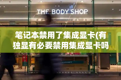 笔记本禁用了集成显卡(有独显有必要禁用集成显卡吗)