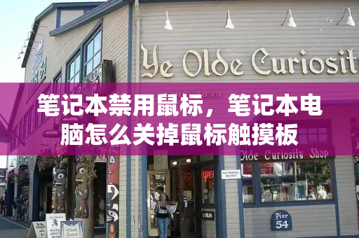 笔记本禁用鼠标，笔记本电脑怎么关掉鼠标触摸板-第1张图片-星选测评