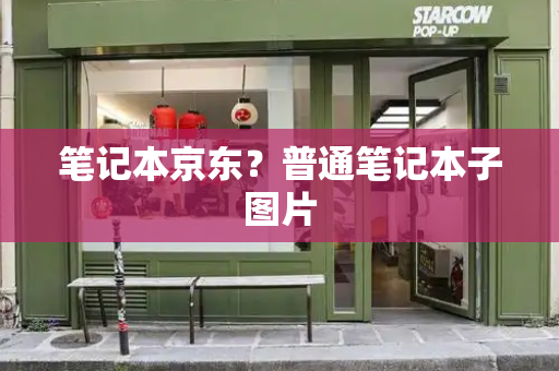笔记本京东？普通笔记本子图片