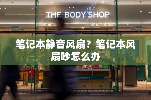 笔记本静音风扇？笔记本风扇吵怎么办-第1张图片-星选测评