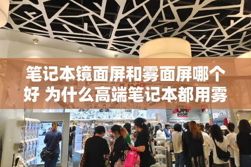 笔记本镜面屏和雾面屏哪个好 为什么高端笔记本都用雾面屏-第1张图片-星选测评