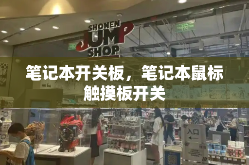 笔记本开关板，笔记本鼠标触摸板开关-第1张图片-星选测评