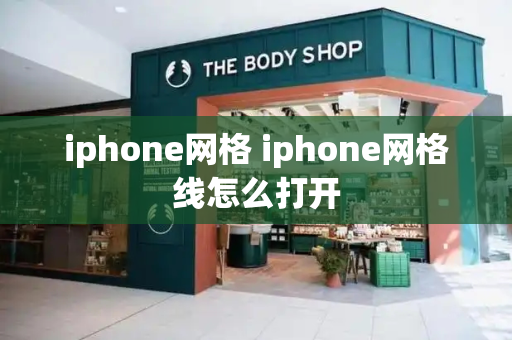 iphone网格 iphone网格线怎么打开-第1张图片-星选测评