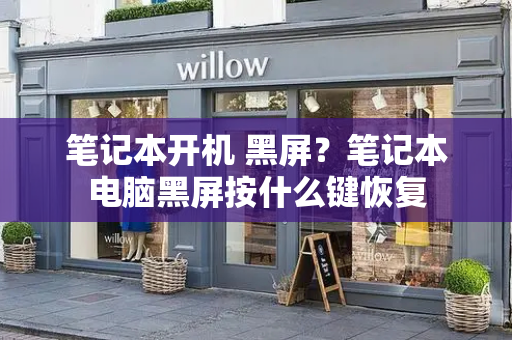笔记本开机 黑屏？笔记本电脑黑屏按什么键恢复-第1张图片-星选测评