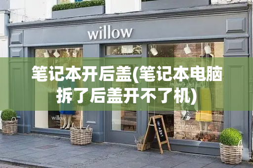 笔记本开后盖(笔记本电脑拆了后盖开不了机)
