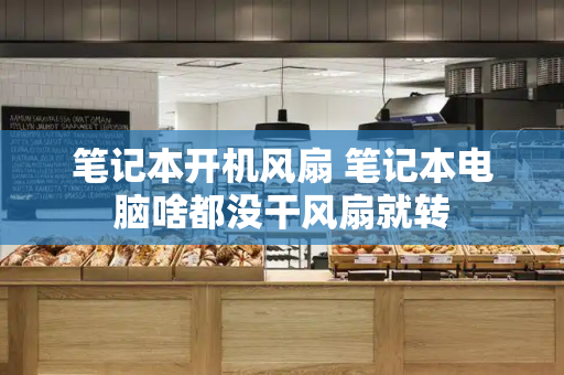 笔记本开机风扇 笔记本电脑啥都没干风扇就转