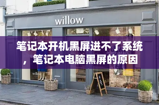 笔记本开机黑屏进不了系统，笔记本电脑黑屏的原因