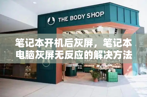 笔记本开机后灰屏，笔记本电脑灰屏无反应的解决方法