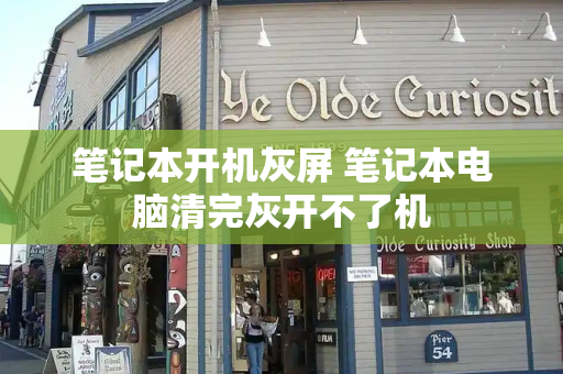 笔记本开机灰屏 笔记本电脑清完灰开不了机-第1张图片-星选测评