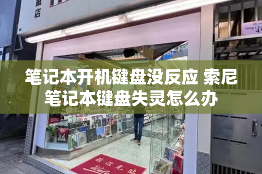 笔记本开机键盘没反应 索尼笔记本键盘失灵怎么办