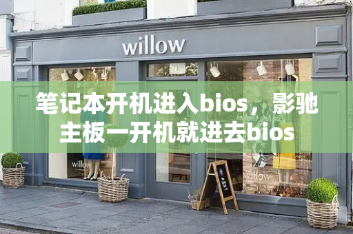 笔记本开机进入bios，影驰主板一开机就进去bios-第1张图片-星选测评