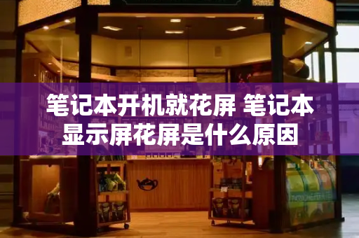 笔记本开机就花屏 笔记本显示屏花屏是什么原因-第1张图片-星选测评