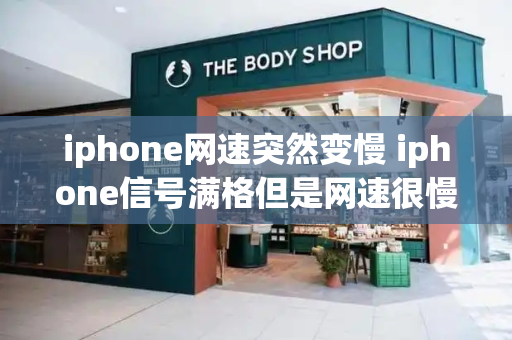 iphone网速突然变慢 iphone信号满格但是网速很慢